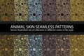 Set dark natural animal skin Seamless Pattern vector texture eps 10 illustration Leopard repeating background