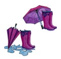 Set of dark pink boots with a different umbrellas. Royalty Free Stock Photo