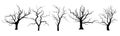 Set of dead tree silhouettes. Black trees without leaves. Halloween tree icons. Vector illustration. Royalty Free Stock Photo