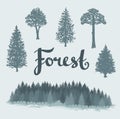 Set of the deciduous and the coniferous isolated hand drawn trees. Royalty Free Stock Photo