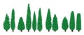 Set of decorative cartoon cypresses. Tall trees collection. Royalty Free Stock Photo