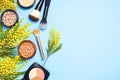 Set of decorative cosmetics for make-up Powder Rouge Eyeshadow Corrector Brushes and flowers of mimosa on blue background. Makeup Royalty Free Stock Photo