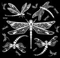 Set of decorative dragonflies