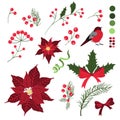 Set of decorative elements for Christmas holiday cards with flowers and berries Royalty Free Stock Photo