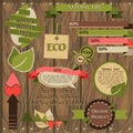 Set of decorative elements for eco friendly design Royalty Free Stock Photo