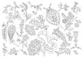 Set of decorative fantasy flowers and branches inspired indian paisley culture. Floral elements in oriental style. Line-art.