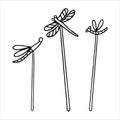 Set of decorative figures of dragonflies on sticks doodle.