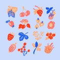 Set of decorative minimalist berries, flowers and leaves for design. Flat style nature and flora for patterns