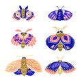 Set of decorative moths in blue, pink and gold colors