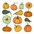 Set of decorative orange and green pumpkins. Hand drawn sketch vector autumn illustration. Thanksgiving Day, halloween Holiday