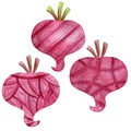 A set of decorative vegetables, bright beets with an ornamental pattern, watercolor illustration