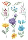 Set with decorative yellow, lilac, blue flowers, branches with small flowering plants and green leaves.