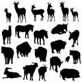 Set of deer, horses, goats, yaks, buffalos and pig