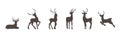 Set of deer silhouettes. Wild animals with antlers on white background. Vector flat illustration Royalty Free Stock Photo