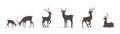 Set of deer silhouettes. Wild animals with antlers on white background. Vector flat illustration Royalty Free Stock Photo