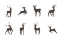 Set of deer silhouettes. Wild animals with antlers on white background. Vector flat illustration Royalty Free Stock Photo