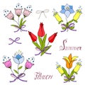 Set of delicate bouquets with flowers tulips