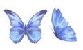 A set of delicate cute blue butterflies. Watercolor illustration isolated objects on a white background. For decoration