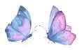 A set of delicate cute blue and lilac butterflies. Watercolor illustration isolated objects on a white background. For