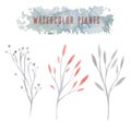 Set of delicate vector watercolor flowers