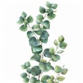 Set of delicate watercolor foliage illustrations, perfect for design elements Royalty Free Stock Photo