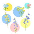 Set of delicate wildflowers in vintage style. Vector colored hand drawn illustration