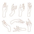 Set of delicate women`s hand in trendy linear style.