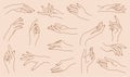 Set of delicate women`s hand in trendy linear style.