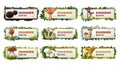 Set of delicious mushroom vector banners.