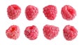 Set with delicious ripe raspberries on white background. Banner design Royalty Free Stock Photo