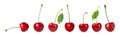 Set of delicious ripe sweet cherries on white background. Banner Royalty Free Stock Photo