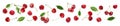 Set of delicious ripe sweet cherries on white. Banner design Royalty Free Stock Photo
