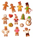 Set of delicious, tasty gingerbread of different home holidays