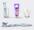 Set of the dental items. Collection of the tooth brushing objects on the transparent background. Royalty Free Stock Photo