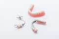 Set of dentures on white background