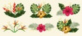 Set design element with tropical flowers hibiscus, heliconia and strelitzia, leaves palm and monstera. Vector on a light Royalty Free Stock Photo