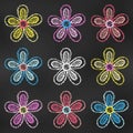 Set of Design Elements Blue, Red, Pink, Yellow and White Flowers Isolated on Chalkboard Backdrop. Realistic Chalk Drawn Sketch