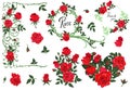 Set of design elements red roses isolated on white background. Vector graphics Royalty Free Stock Photo