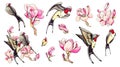 Set design hand drawn element of spring festival, summer pink flower, branches, swallow. Watercolor collection of floral