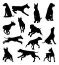 Dog Silhouettes Animal Set Royalty Free Stock Photo