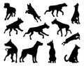 Dog Silhouettes Animal Set Royalty Free Stock Photo