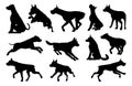 Dog Silhouettes Animal Set Royalty Free Stock Photo