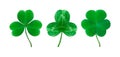 Set of detailed realistic three-leaf shamrocks.