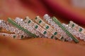 Set of diamond studded gold bangles