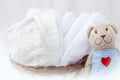Set of diapers for newborn in basket with love bear toy. Baby cl Royalty Free Stock Photo