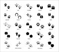 Set of different animals and birds silhouette tracks with description isolated on white background flat illustration