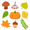Set of different autumn natural elements. Fall leaves, mushroom, berries, acorn and pumpkin. Vector illustration in Royalty Free Stock Photo