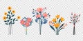 set of different beautiful bouquets wild flowers vector flat illustration. collection floral isolated on transparent background Royalty Free Stock Photo