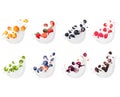 Set of different berries with splashes of milk isolated on a white background