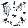 Birds on branches set. Royalty Free Stock Photo